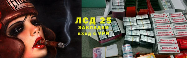 спайс Алзамай