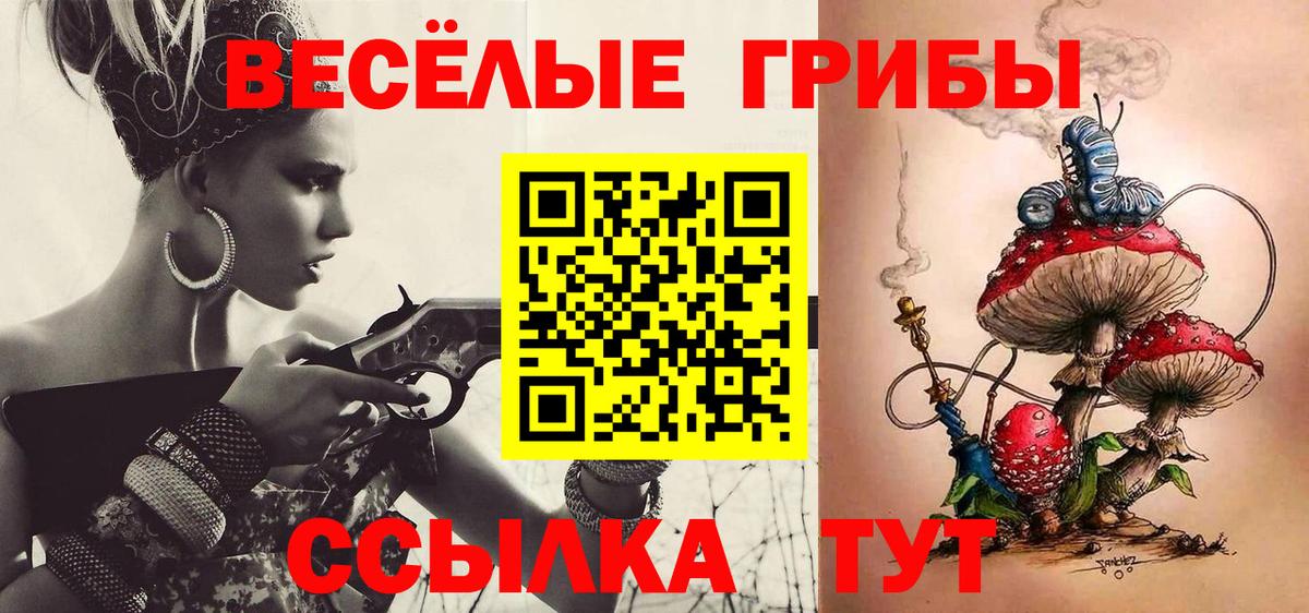 дарнет шоп  Галлюциногенные грибы ЛСД  Галлюциногенные грибы MAGIC MUSHROOMS  Вход с VPN  Энгельс 