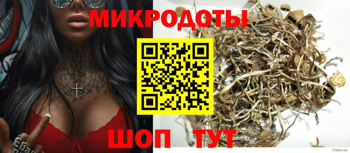 Псилоцибиновые грибы MAGIC MUSHROOMS Энгельс