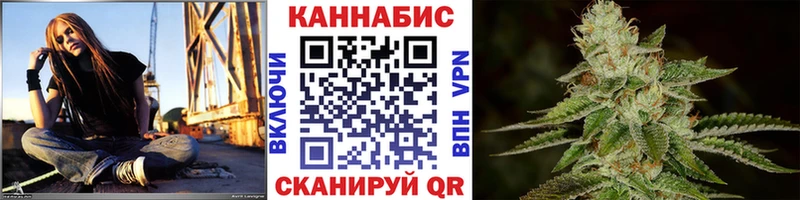 Конопля Bruce Banner Энгельс